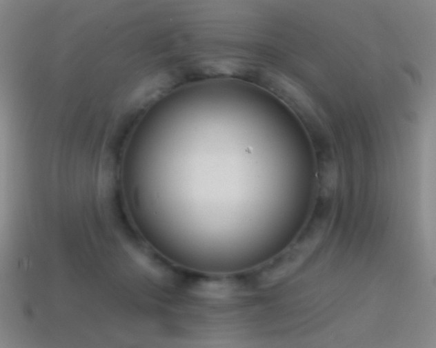 X0000114400414200910161319