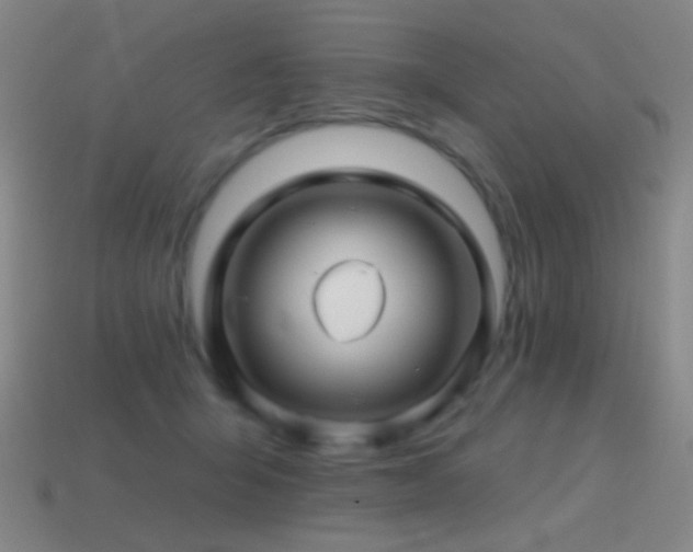 X0000114400415200910161319