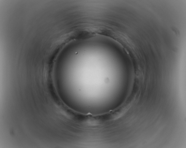 X0000114400416200910161319