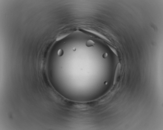 X0000114400417200910161319