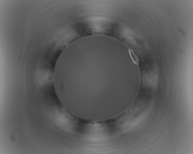 X0000114400419200910161319