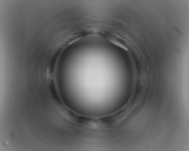 X0000114400420200910161319