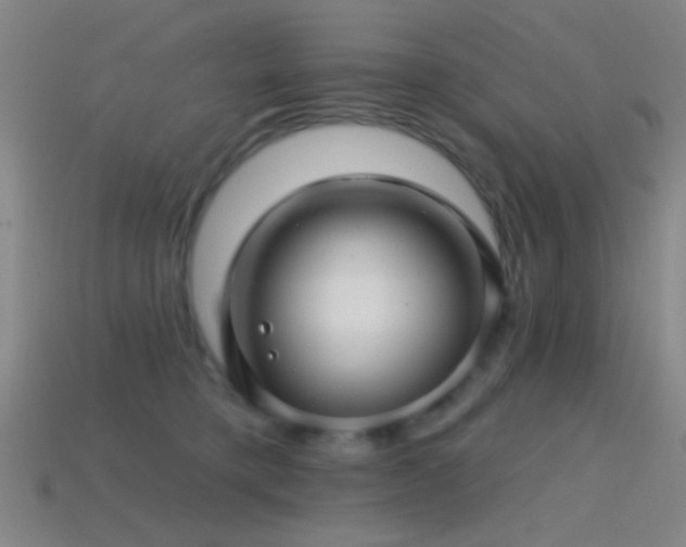 X0000114400421200910161319