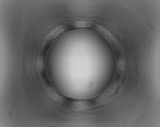 X0000114400422200910161319