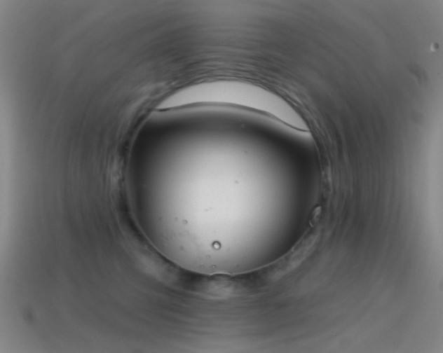 X0000114400423200910161319