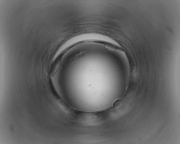 X0000114400424200910161319