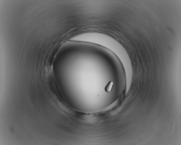 X0000114400425200910161319