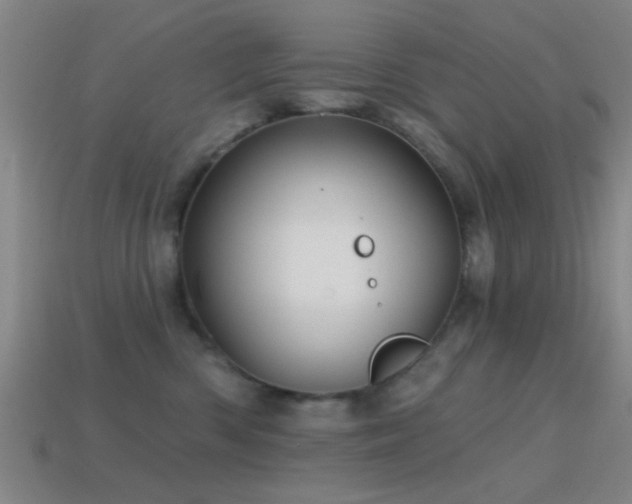 X0000114400426200910161319