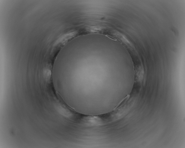 X0000114400427200910161319