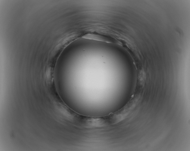 X0000114400428200910161319