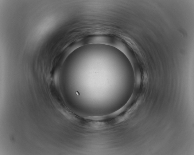 X0000114400429200910161319