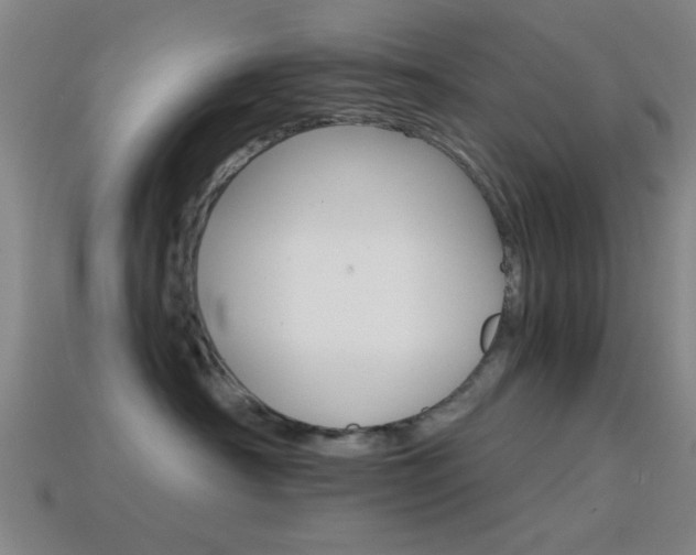 X0000114400430200910161319