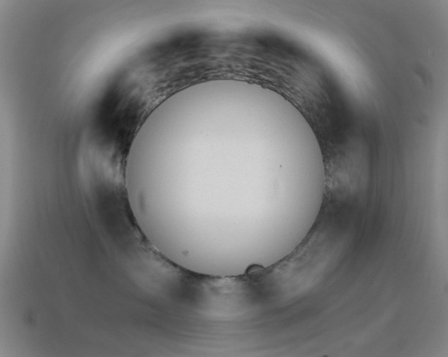 X0000114400431200910161319