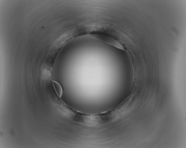 X0000114400432200910161319