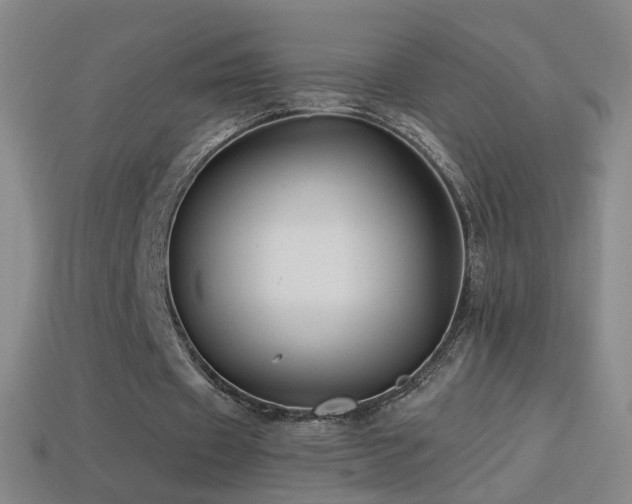 X0000114400433200910161318