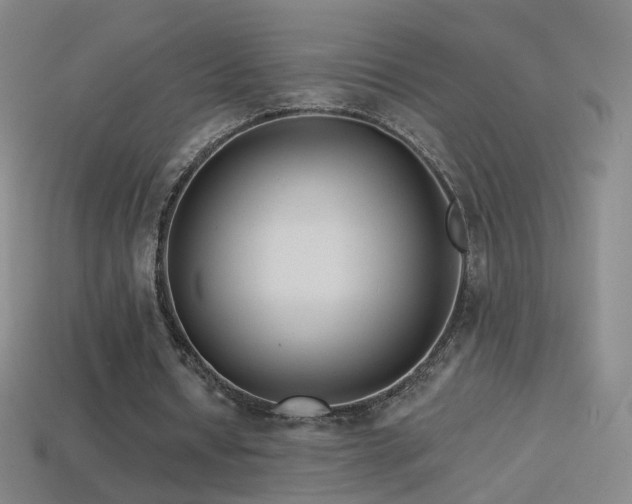 X0000114400434200910161318