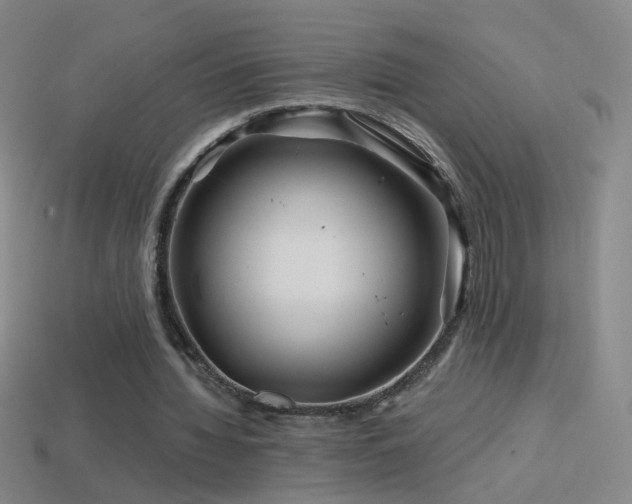 X0000114400436200910161318