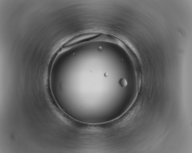 X0000114400437200910161318