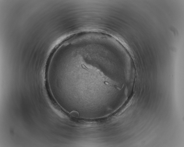 X0000114400438200910161318