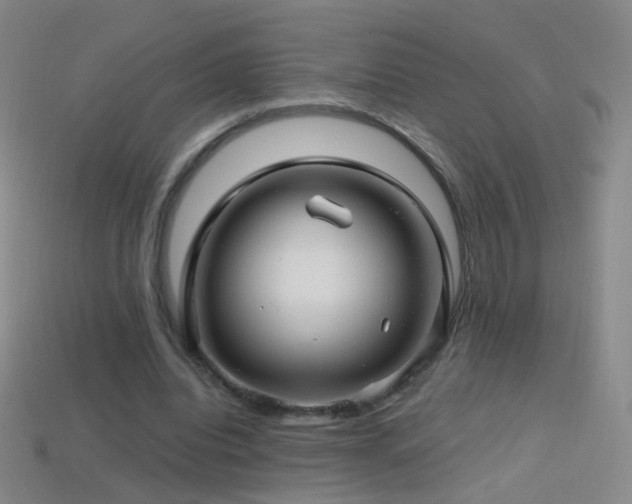 X0000114400440200910161318