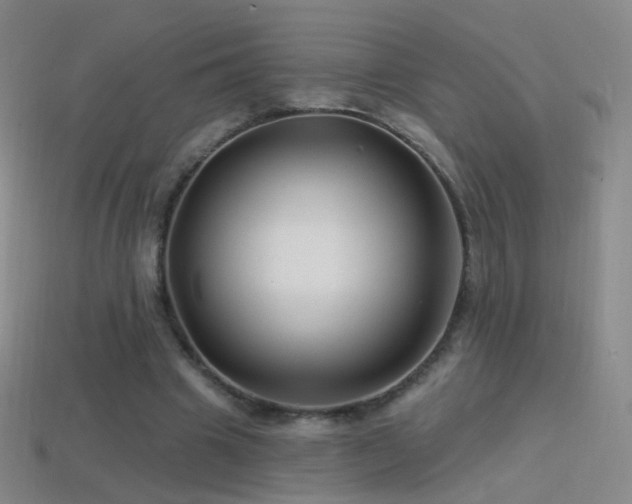 X0000114400441200910161318