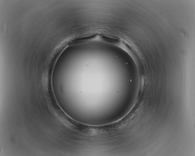 X0000114400442200910161318