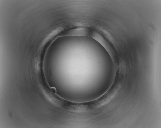 X0000114400443200910161318