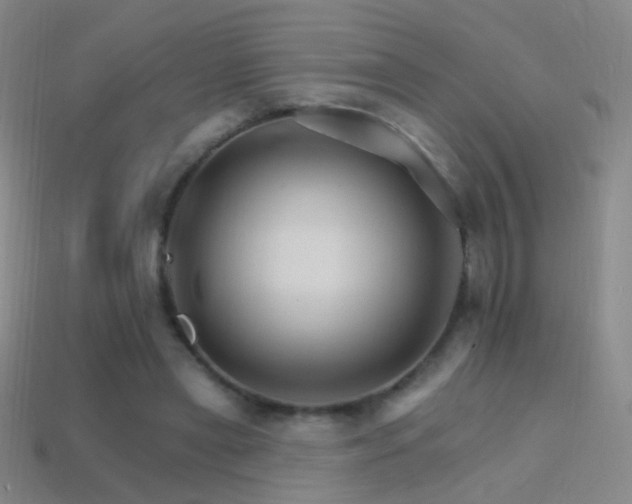 X0000114400445200910161318