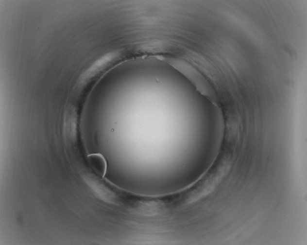 X0000114400446200910161318