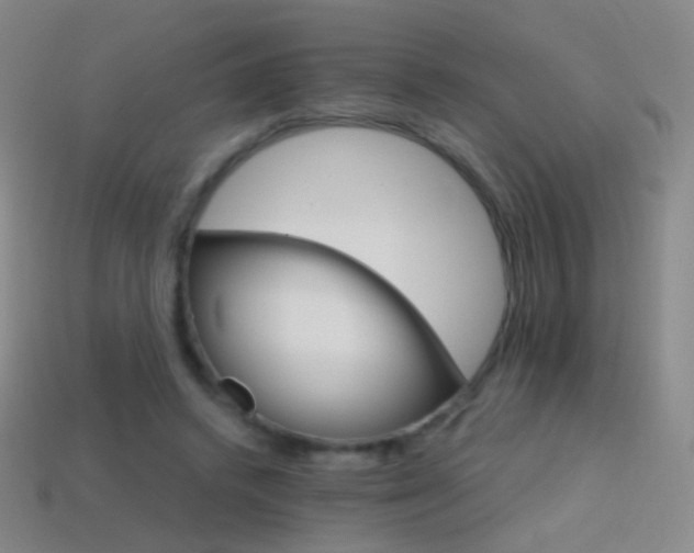 X0000114400448200910161318