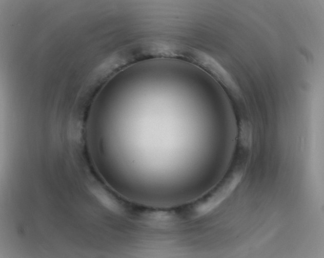 X0000114400449200910161318