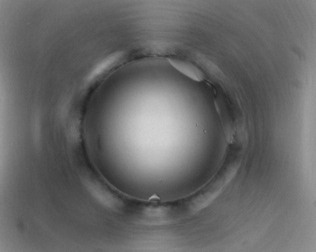 X0000114400450200910161319