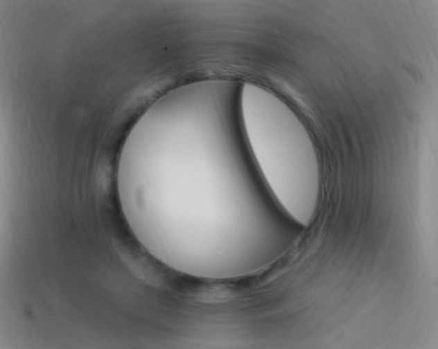 X0000114400451200910161319