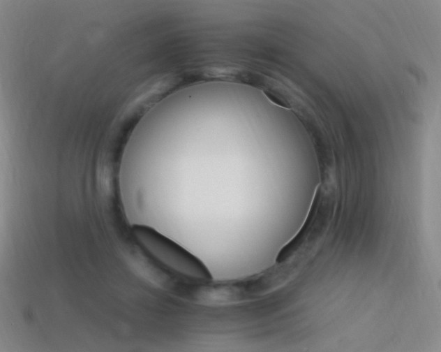 X0000114400452200910161319