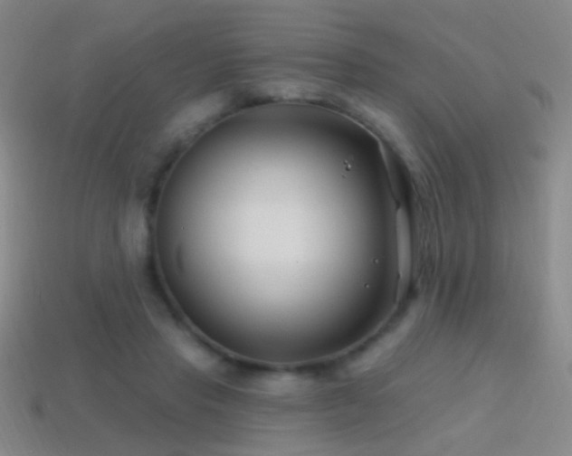 X0000114400453200910161319