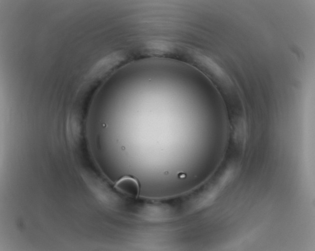 X0000114400455200910161319