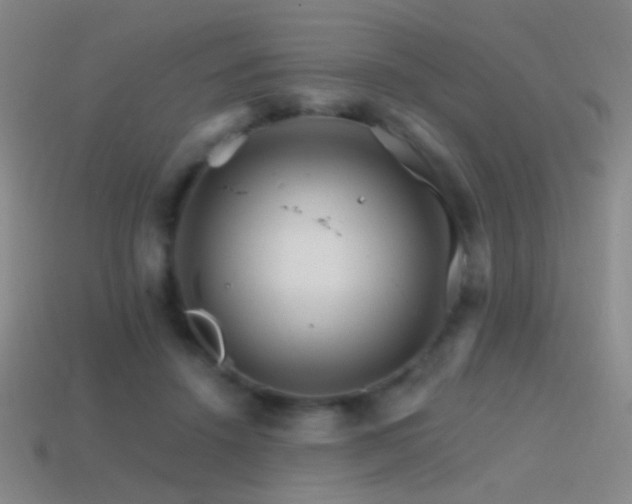 X0000114400456200910161319