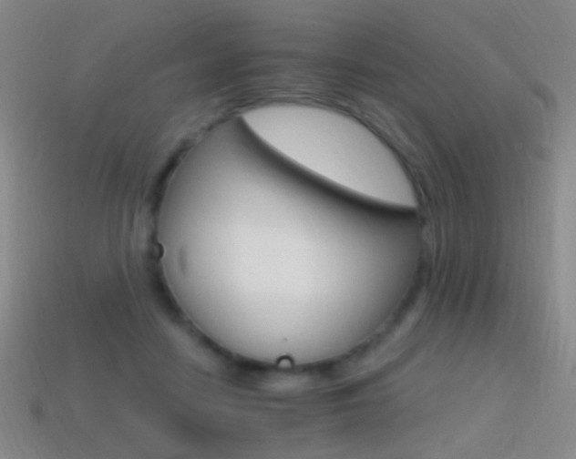 X0000114400458200910161319