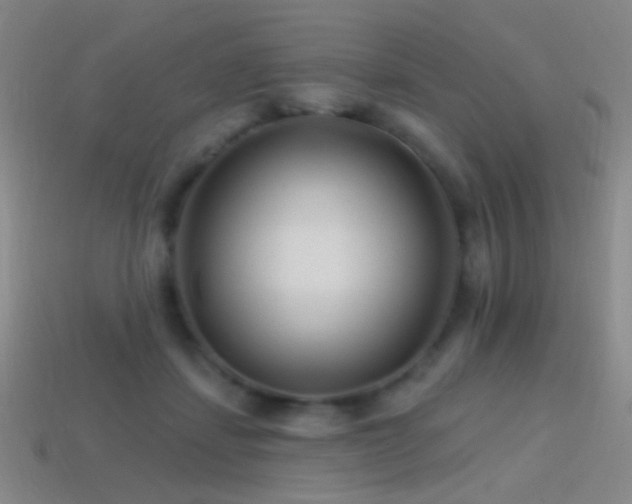 X0000114400459200910161319