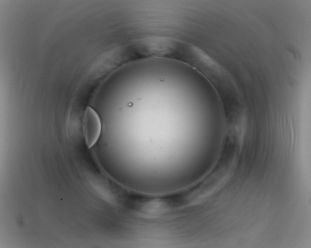 X0000114400460200910161319