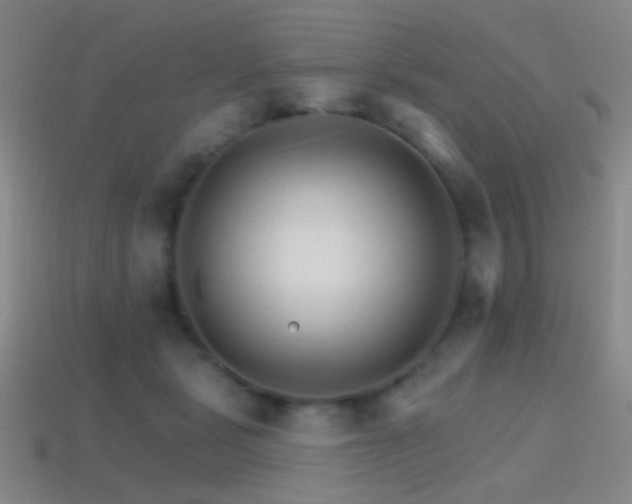 X0000114400461200910161319