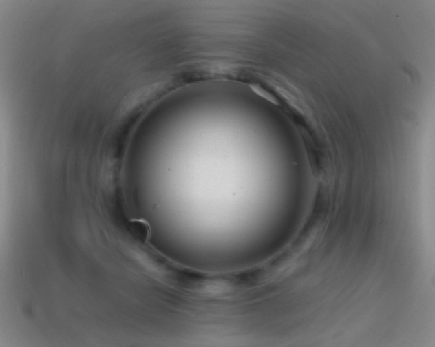 X0000114400462200910161319