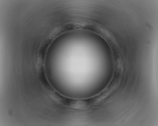 X0000114400463200910161319