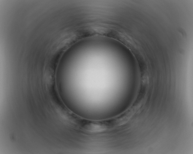 X0000114400464200910161319