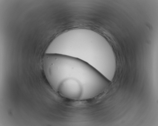 X0000114400465200910161319