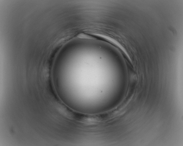 X0000114400466200910161319