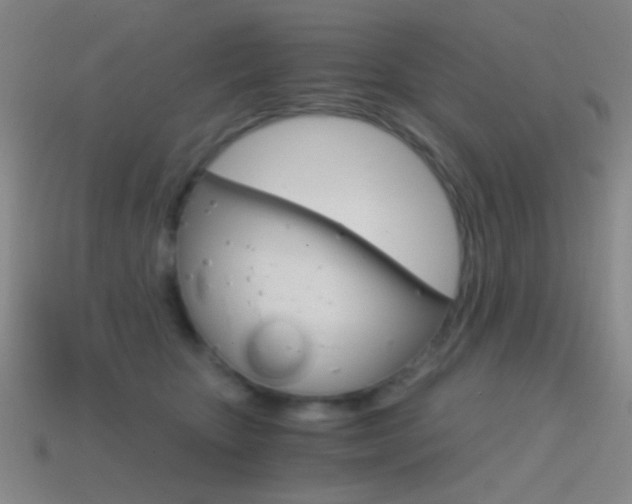 X0000114400467200910161319