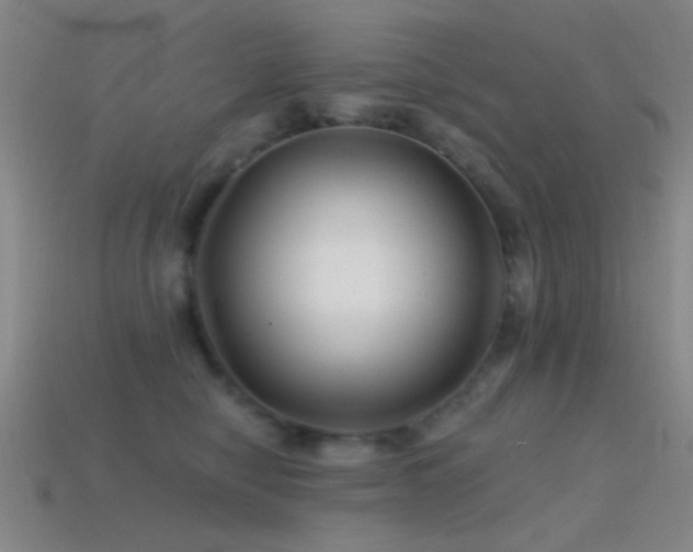 X0000114400470200910161319