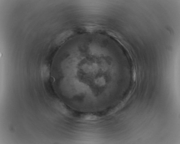 X0000114400471200910161319