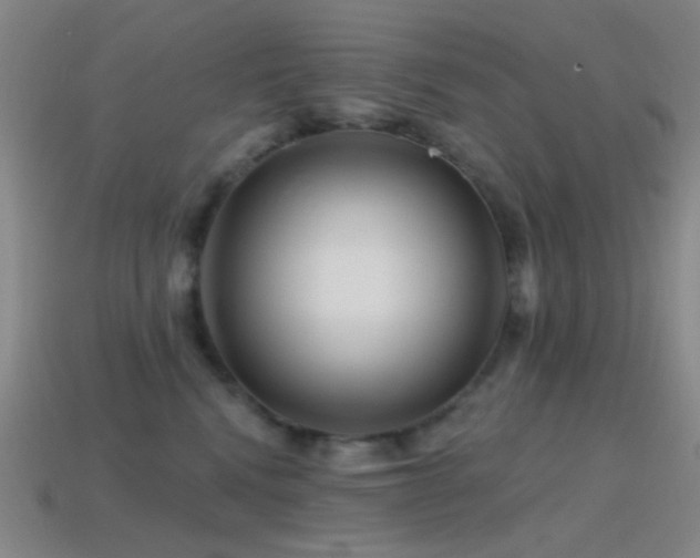 X0000114400472200910161319